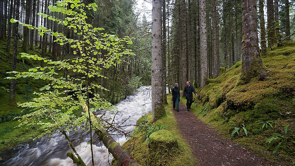 Un hombre y una mujer caminando junto a los rápidos de un río en el bosque