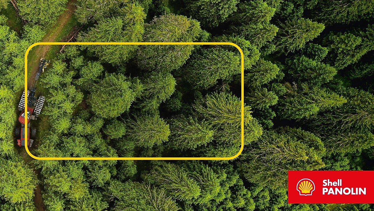 Shell Panolin