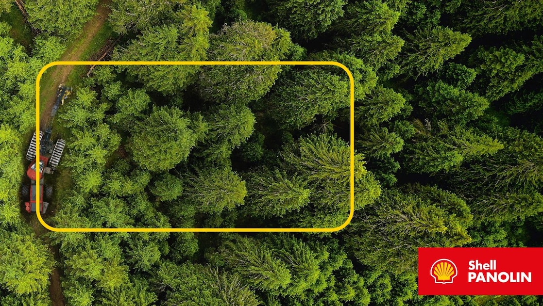 Shell Panolin