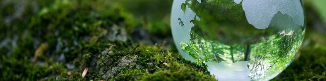 Globe on a mossy rock in forest