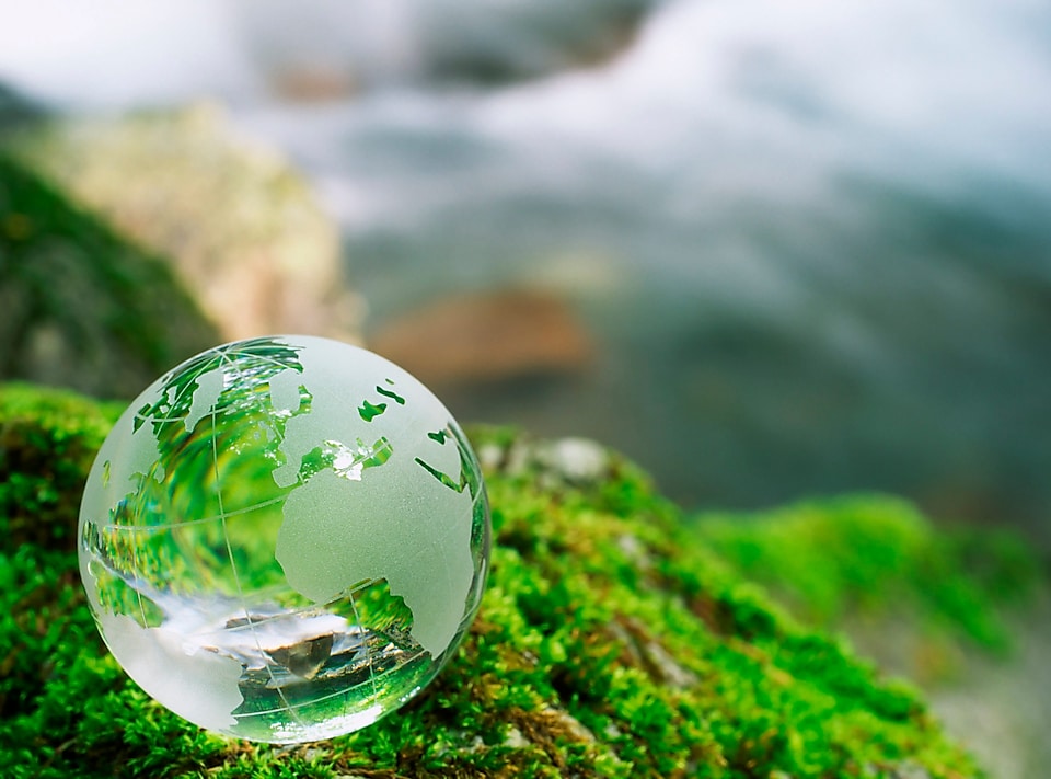 Imagen de un globo sobre un pasto verde