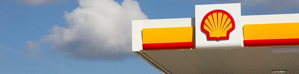 Pecten de Shell en una planta minorista
