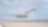 Aviación