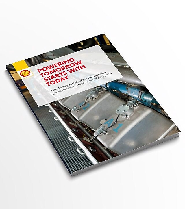 Shell mysella wp free report