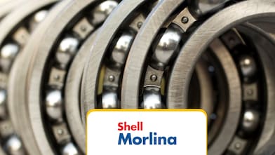 Shell Morlina