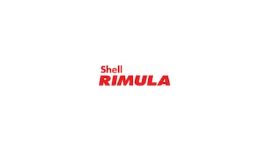 Shell Rimula