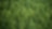 Paisaje forestal