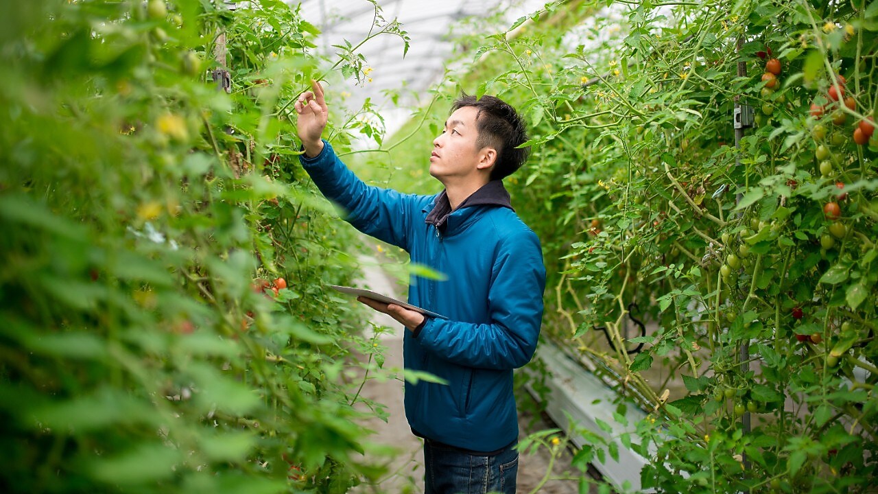 El aumento de nuestro uso de energías renovables