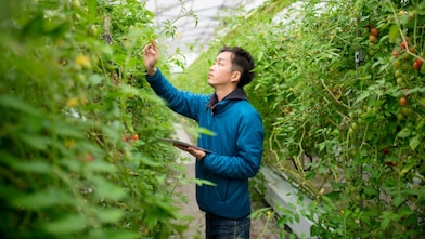 El aumento de nuestro uso de energías renovables