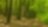 Paisaje forestal
