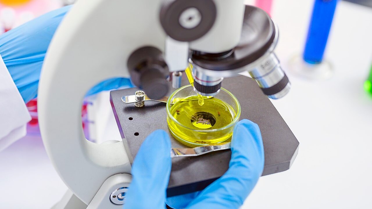 Desarrollo de lubricantes