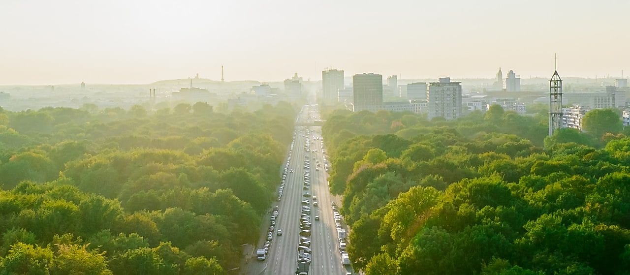 Autopista, skyline, bosques