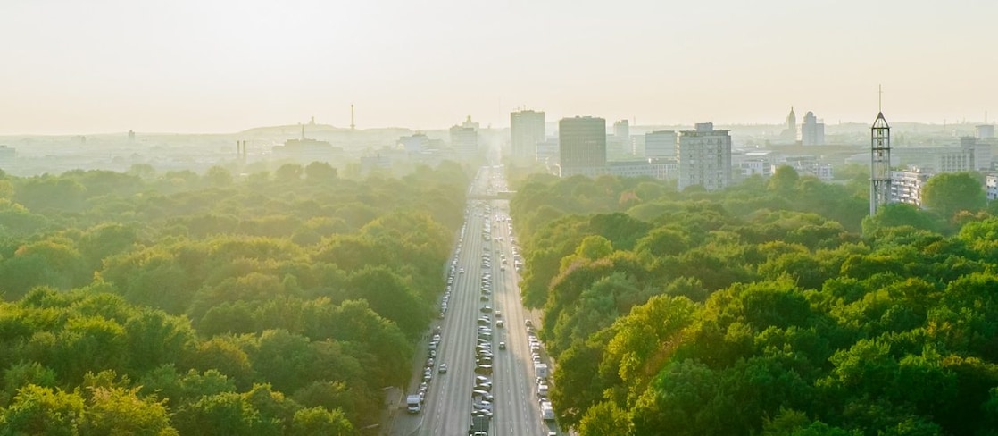 Autopista, skyline, bosques