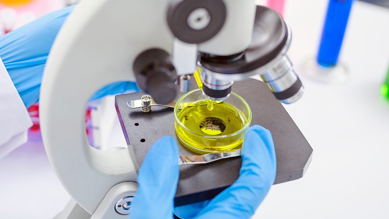 Desarrollo de lubricantes