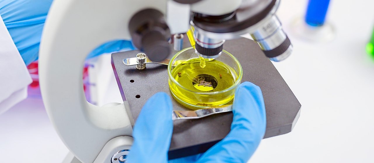 Desarrollo de lubricantes