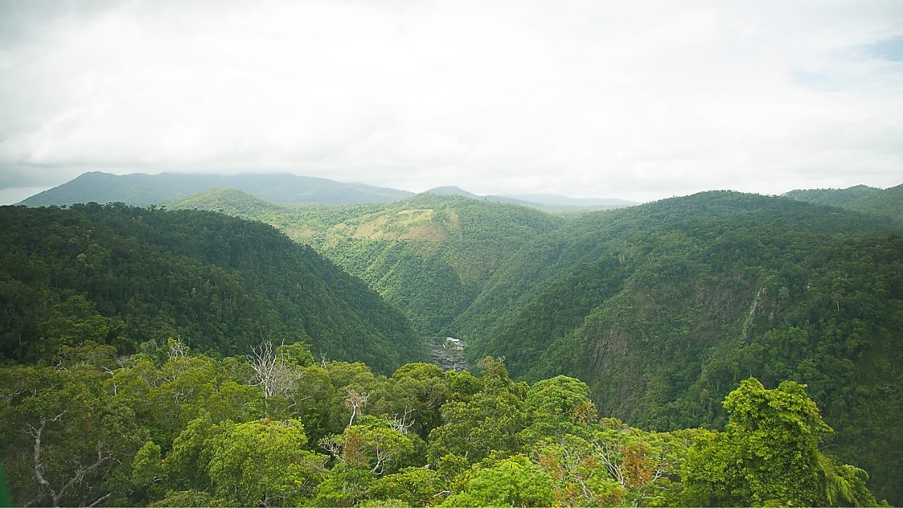 Lograr la sostenibilidad sin sacrificar el rendimiento empresarial