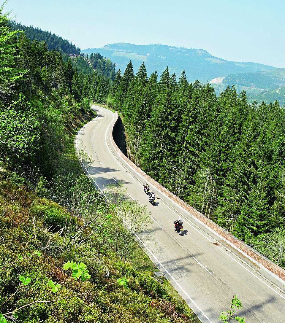 Tres motos circulando por una carretera de montaña bordeada de árboles