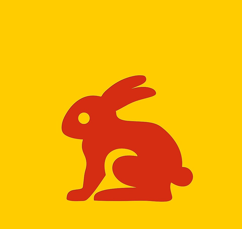 Imagen de un conejo