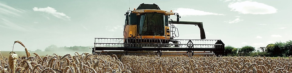 Una cosechadora amarilla en un campo de trigo