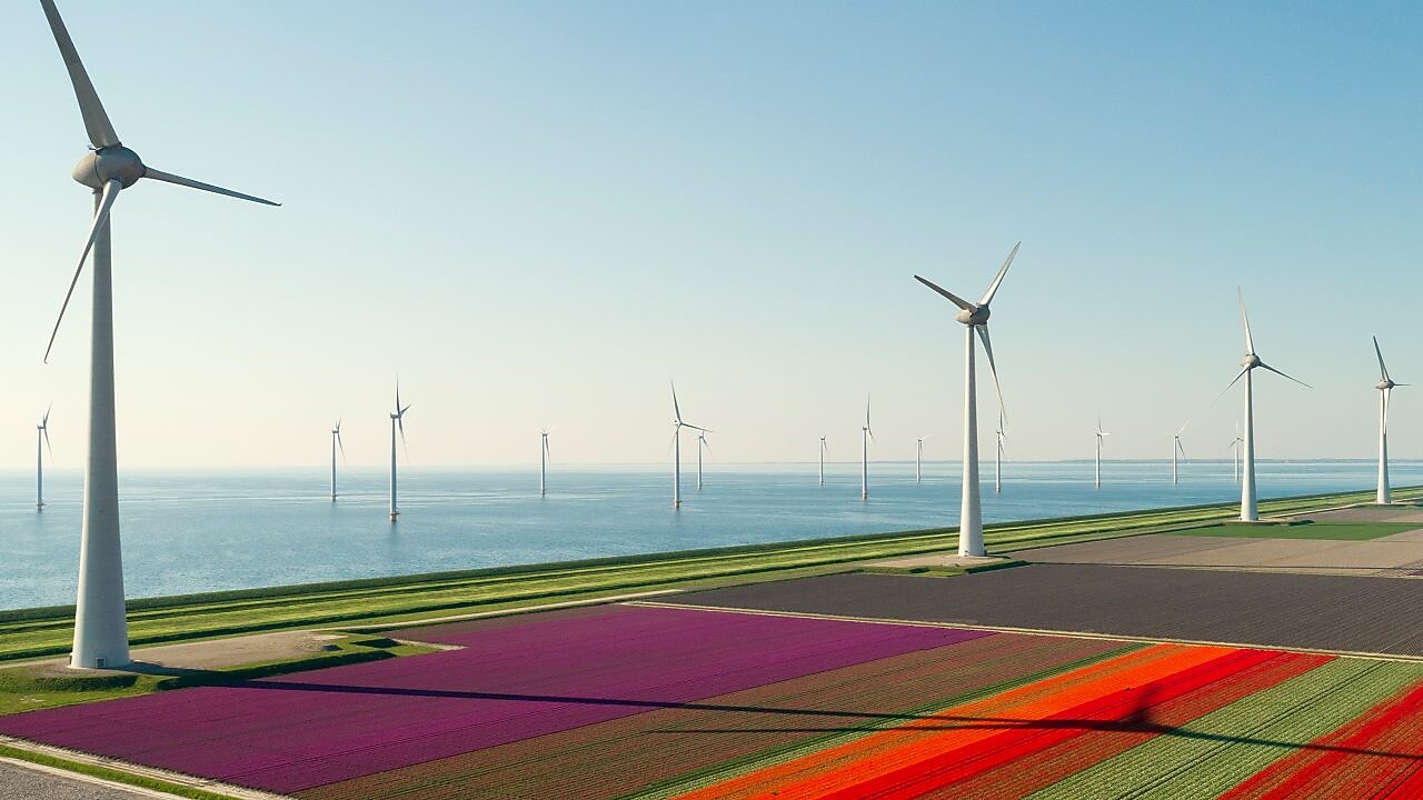 Como asegurar el origen renovable de la energía verde de tu negocio