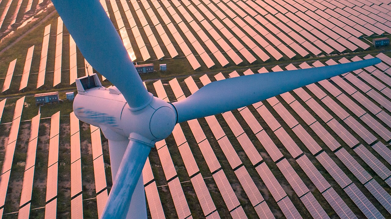 Electricidad verde para negocios y empresas