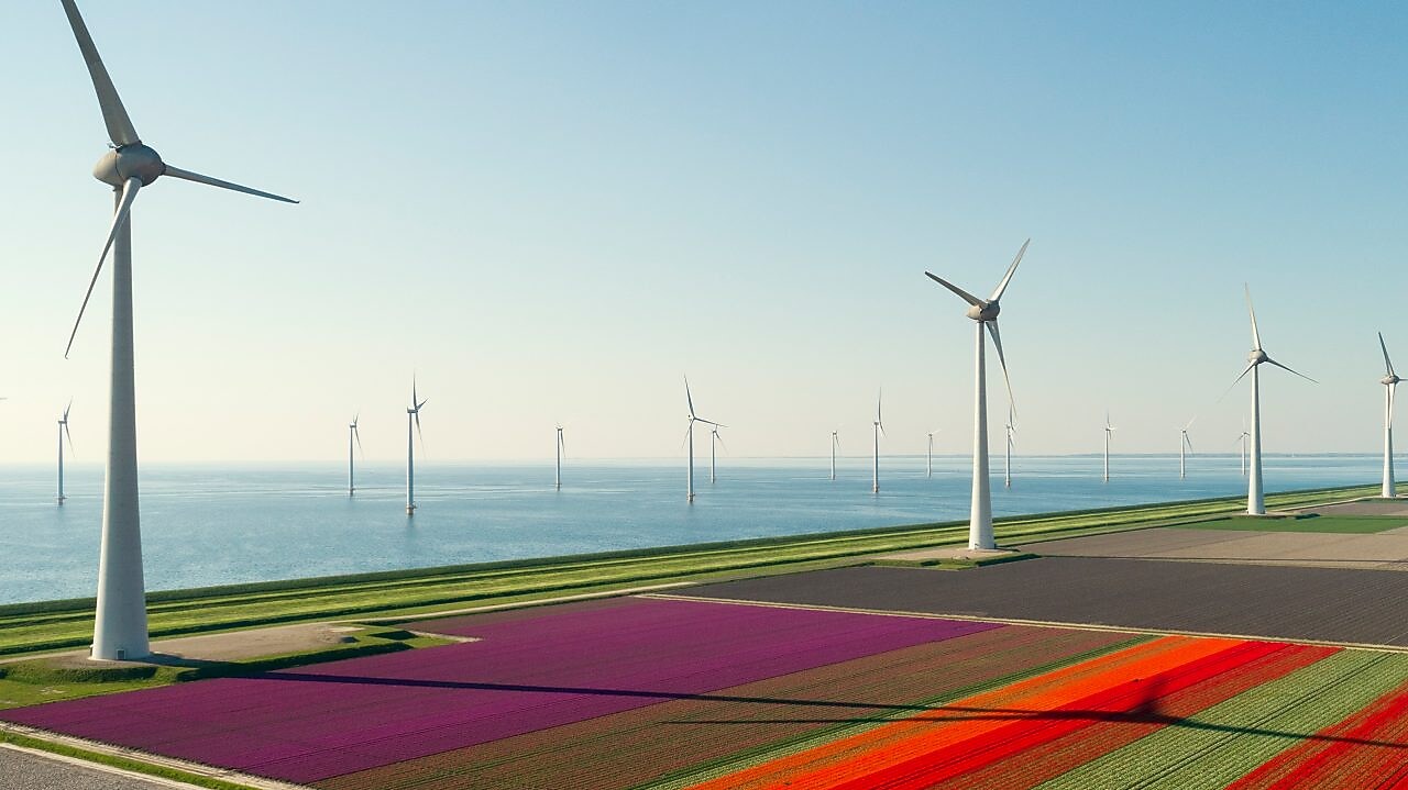 Como asegurar el origen renovable de la energía verde de tu negocio