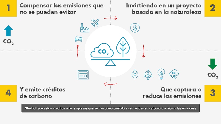 Créditos de carbono