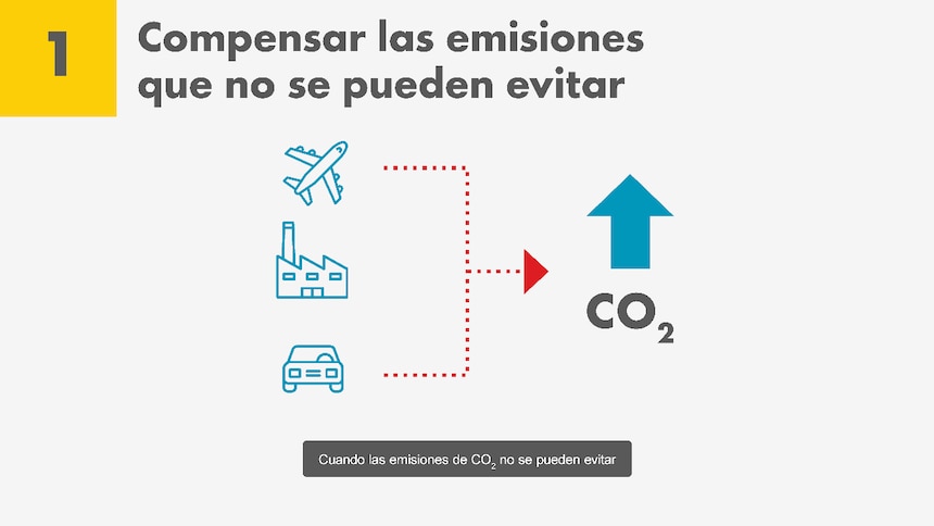 Créditos de carbono