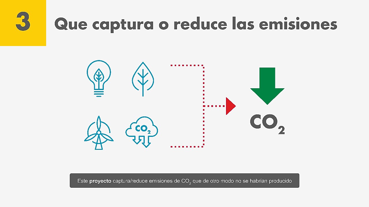 Créditos de carbono