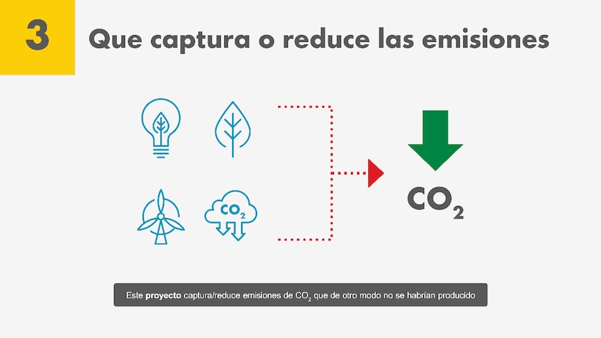 Créditos de carbono