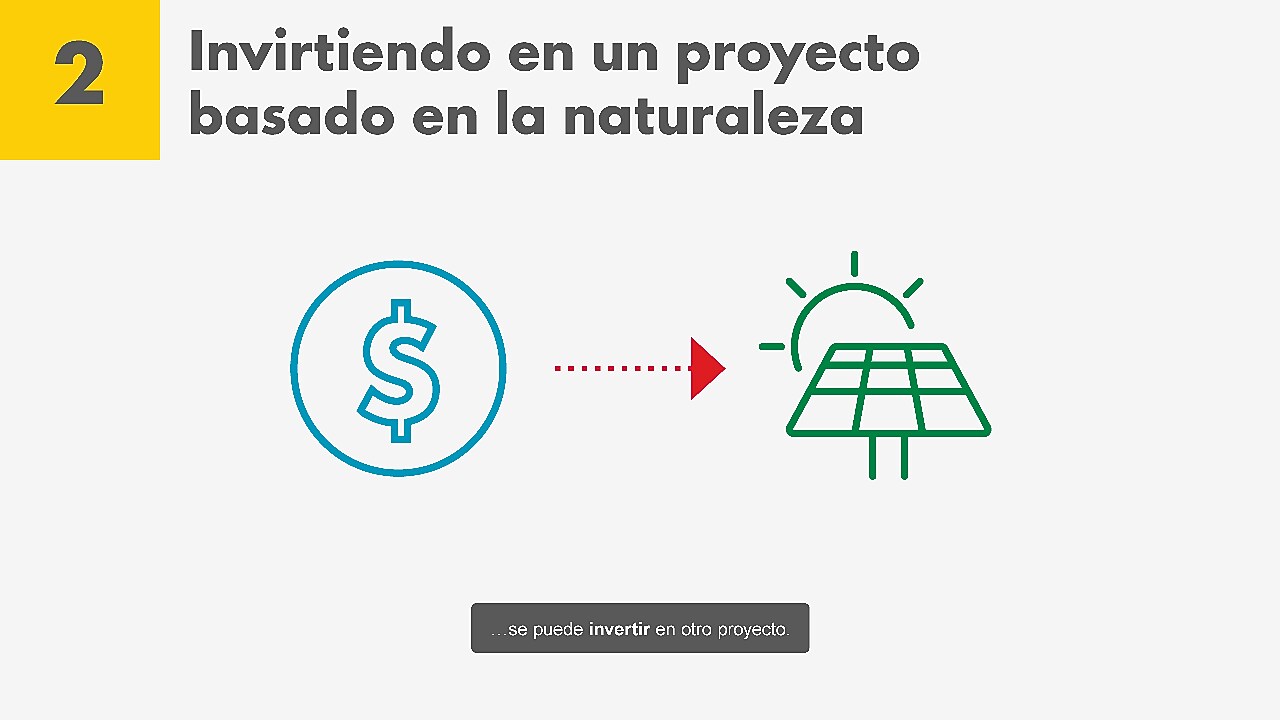 Créditos de carbono