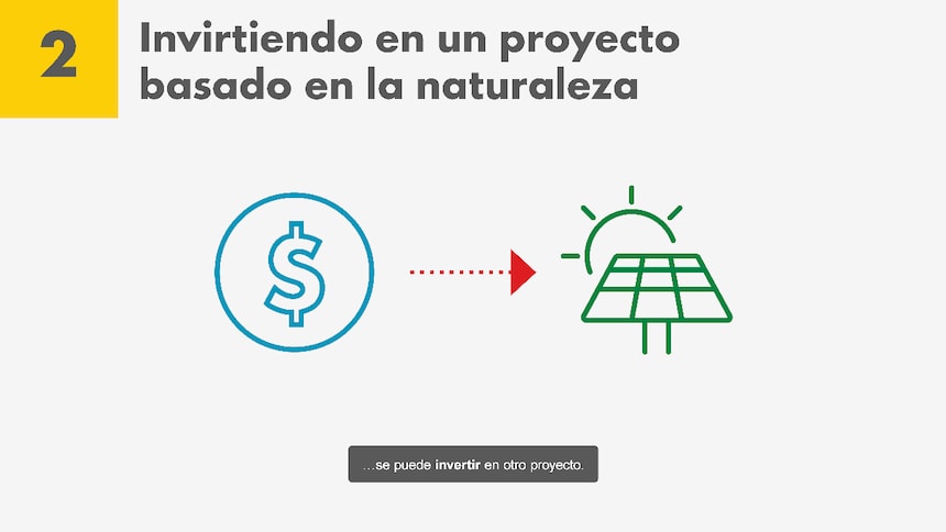 Créditos de carbono