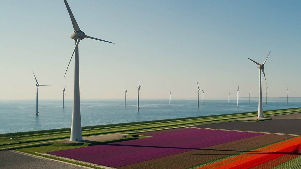 Como asegurar el origen renovable de la energía verde de tu negocio