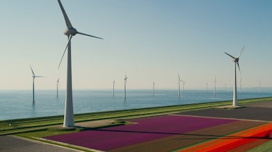 Como asegurar el origen renovable de la energía verde de tu negocio