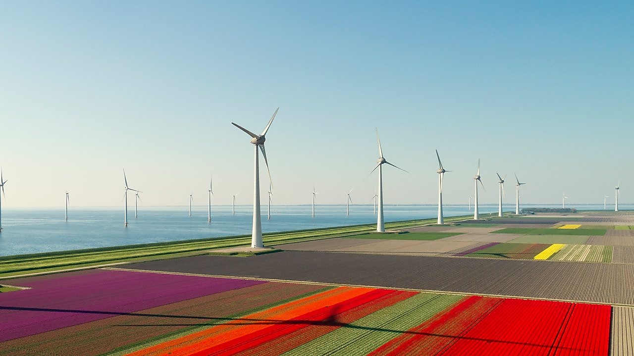 Como asegurar el origen renovable de la energía verde de tu negocio