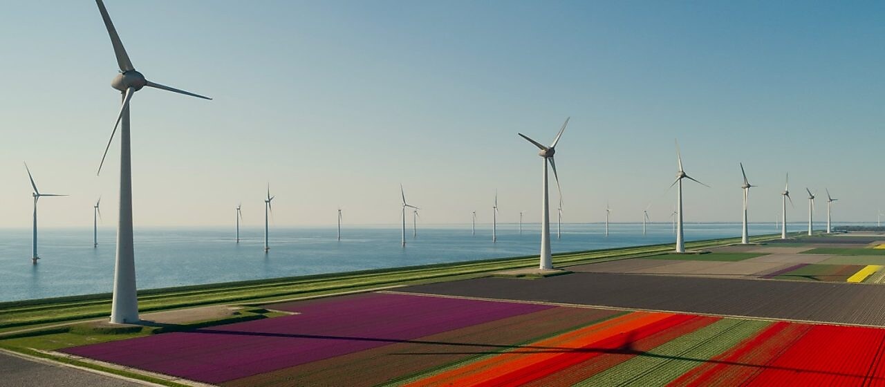 Como asegurar el origen renovable de la energía verde de tu negocio