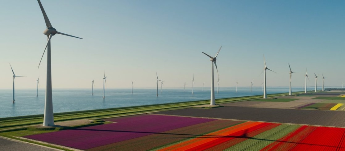 Como asegurar el origen renovable de la energía verde de tu negocio