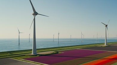 Como asegurar el origen renovable de la energía verde de tu negocio