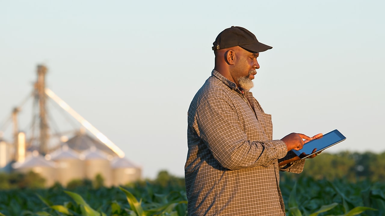 Beneficios para el productor